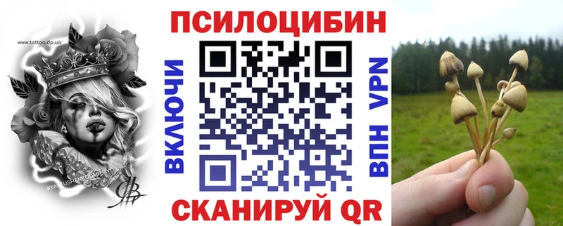 где можно купить наркотик  Николаевск  Псилоцибиновые грибы мухоморы 